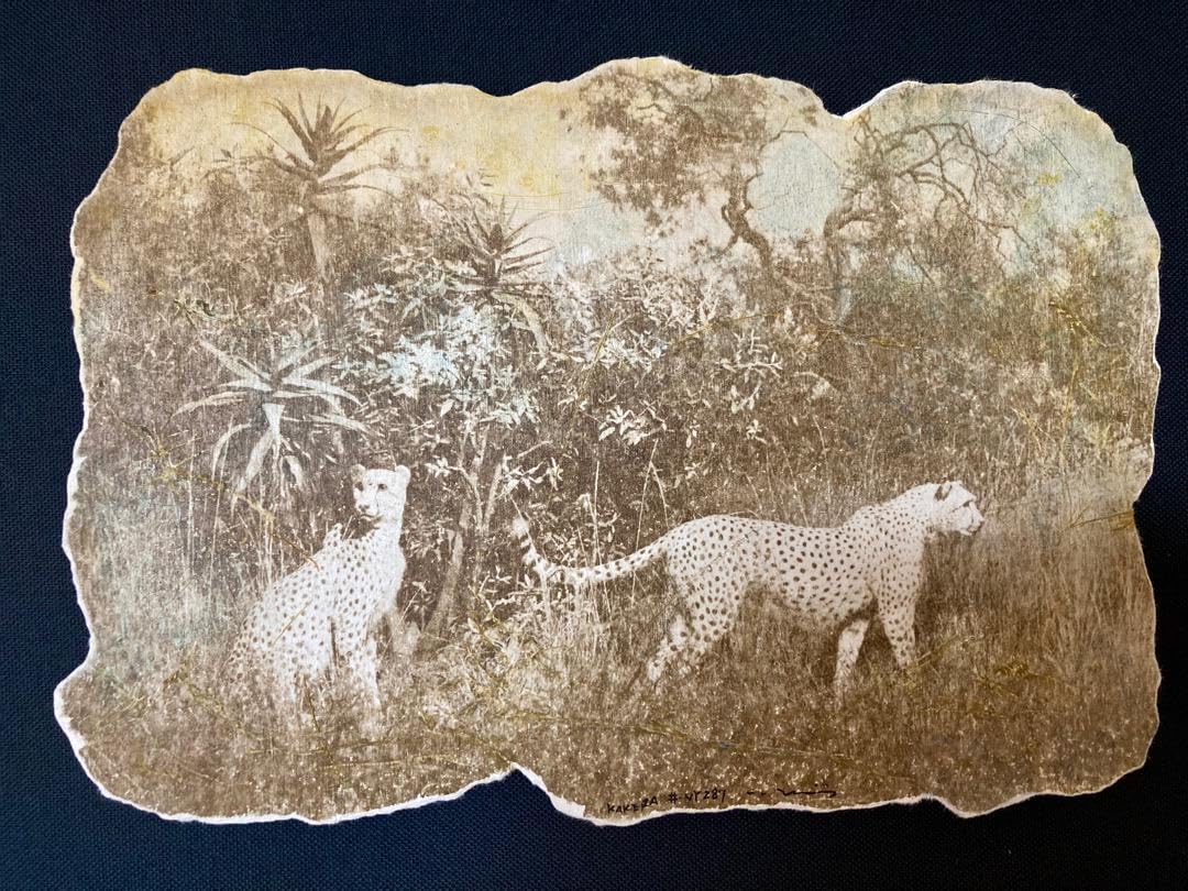 井土英世志作品 KAKERA#NY287 ミクストメディア 「真作」